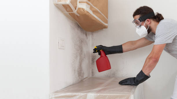 Professional Bathroom Mold Removal technician working in Schellsburg, PA